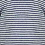 organicera organic baby long sleeve tshirt body indigo striped